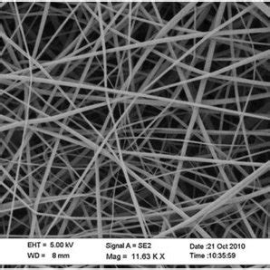 ¡Acetato de Celulosa: Descubriendo el Potencial de Este Material Versátil en la Fabricación!