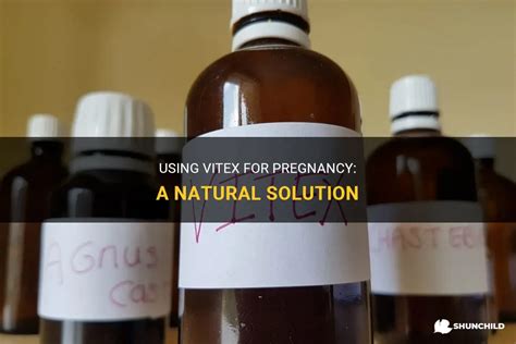  Vitex: Un Recurso Natural Invaluable para la Fabricación de Productos Farmacéuticos y Cosméticos!